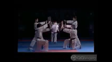 Korean taekwondo Master Wtf and Itf