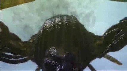 Nier Giant Shade Trailer 