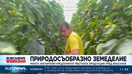 Природосъобразно земеделие: Англичани предпочитат местна продукция пред вносна