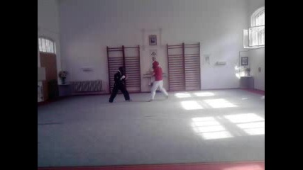 Ookami kumite 13.06.2010 