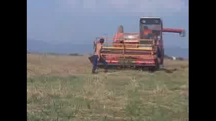 new holland 8080 : zmaj 135