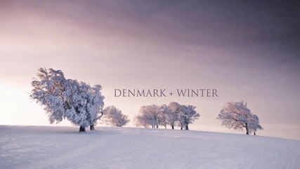 Denmark + Winter - Every Breath You Take