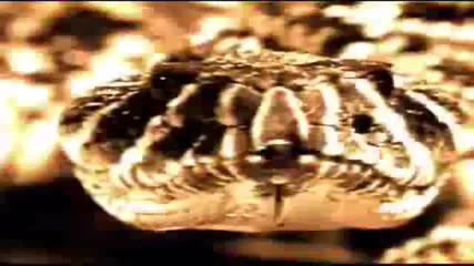 Stone Cold Steve Austin Titantron - _glass Shatters_