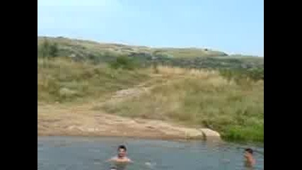 Udavnici