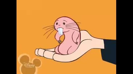 Episode 7 Kim Possible Number One 1 3 