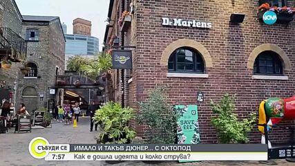 Дюнер с ... октопод: Как се е появила идеята и колко струва ястието