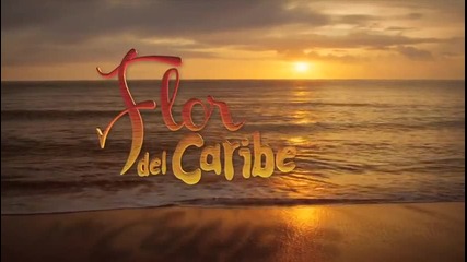 Flor del caribe 37