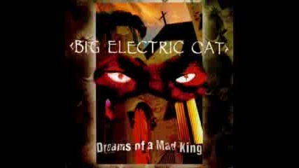 Big Electric Cat - Sapphire