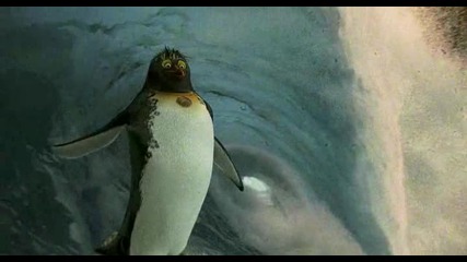 част от Surf up