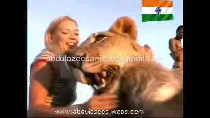 Каква обич между жена и лъвове !!!