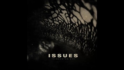 Issues - Princeton Ave