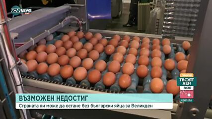 Има ли риск от недостиг на яйца за Великден
