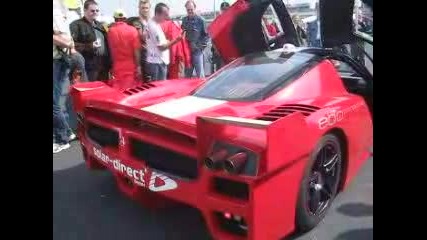 Ferrari Enzo Fxx - Sound