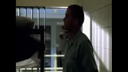 Prison Break Tatoo