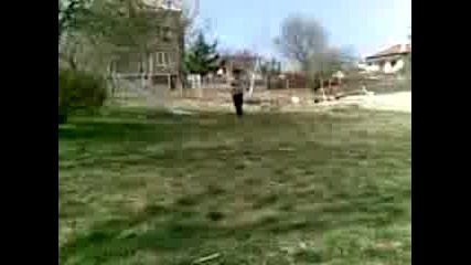 Finger1995