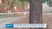 Огромният пожар на Халкидики е овладян
