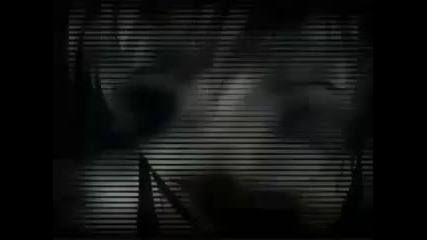 Bleach - New Divide 