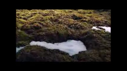 Karunesh - Magic Fields