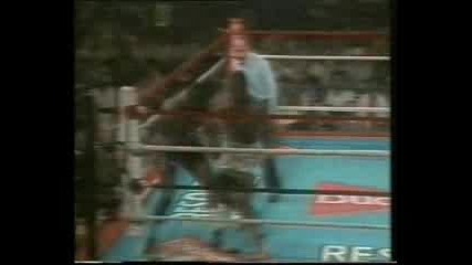 Mike Tyson vs. Lorenzo Canady 1985