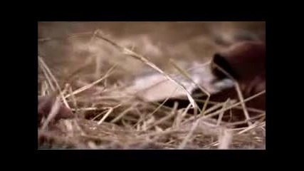 Какво Се Случи Онази Сутрин