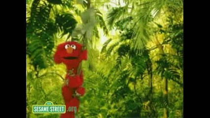 Elmos World Flowers Active 