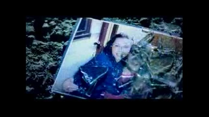 Three Days Grace - Animal I Have Become