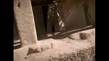 Patrol Through Afghan Viillage
