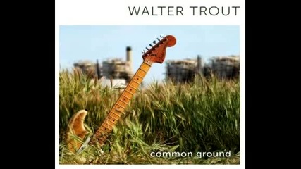 ^превод^ Walter Trout - Open Book