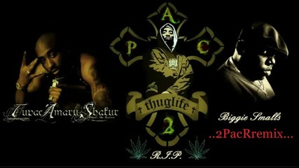 2pac ft Notorious B.i.g - Fuck Fake Friends ( Remix ) 2011