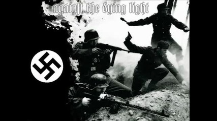 Preserve White Aryans - Lets rise and fight