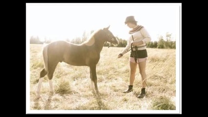 Idiot Wind - Canary Bird