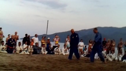 Real Aikido - Vracarevic-2012