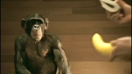 Korn - Evolution (hq) 
