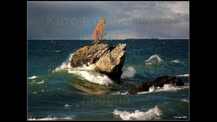 За златната рибка 