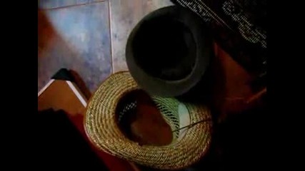 bai ilko i ac - dc