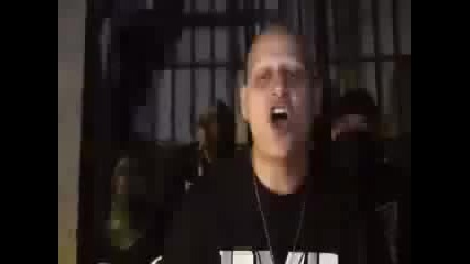 Flycat - Los Angeles - Psycho Realm - Street Platoon