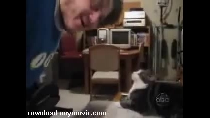 Smartest Cat in the World 