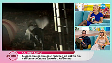 Андреа Банда Банда - Ах това кино! - На кафе (28.03.2019)