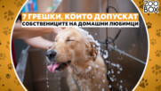 7 грешки, които допускат собствениците на домашни любимци