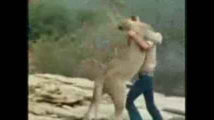 Историята На Един Лъв - Крисчън