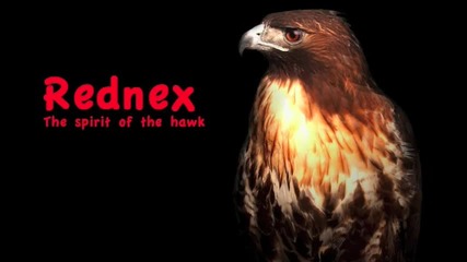 Rednex - The spirit of the hawk