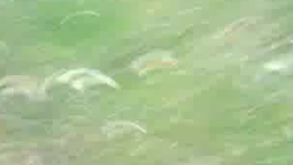 Stadyonumuza Korumakta Bas Komiserimiz Sportislerimiz Icin 2017 Hd