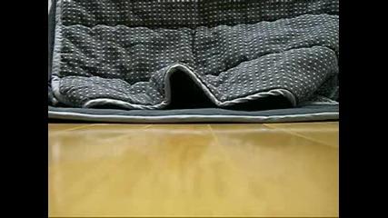 Голямо сладко коте си играе с одеало