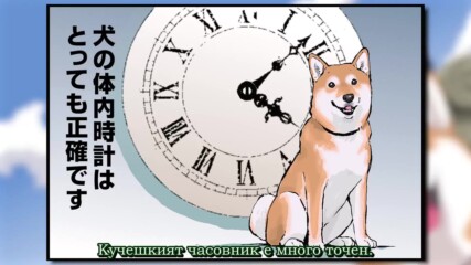 【 Bg Sub 】 Sekai no Owari ni Shiba Inu to 29