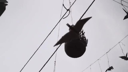 Hammock - Breathturn