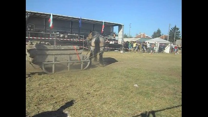 kone Kneja 01.09.2012