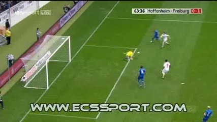 28.03.2010 Hoffenheim – Freiburg 1 - 1 