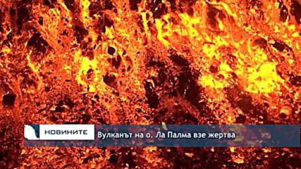 Вулканът на о. Ла Палма взе жертва