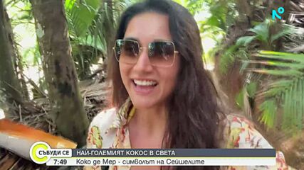 Сейшелите: Пътешествие до Валe де Мей и легендарния Коко де мер