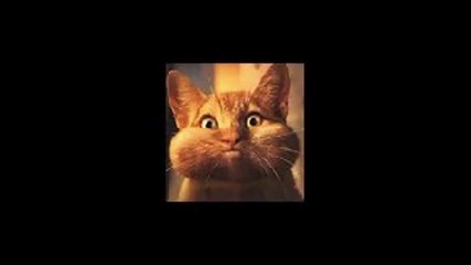 chalga mix 2.wmv